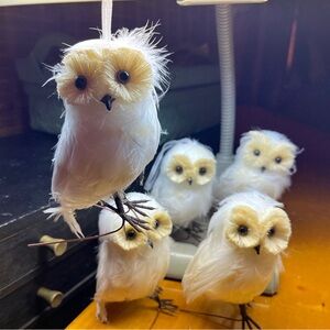 5 Baby Owl Figurines Realistic Real Bird Feathers Christmas Tree Ornament